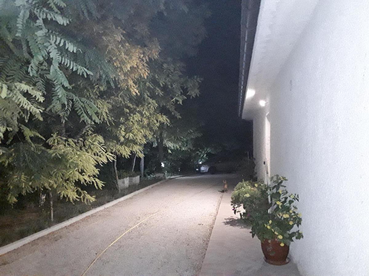 La Casa Nel Verde Larino エクステリア 写真