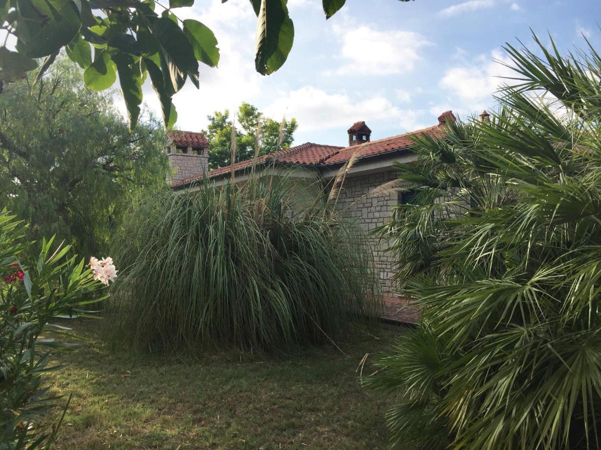 La Casa Nel Verde Larino エクステリア 写真