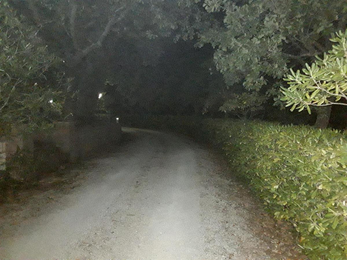 La Casa Nel Verde Larino エクステリア 写真