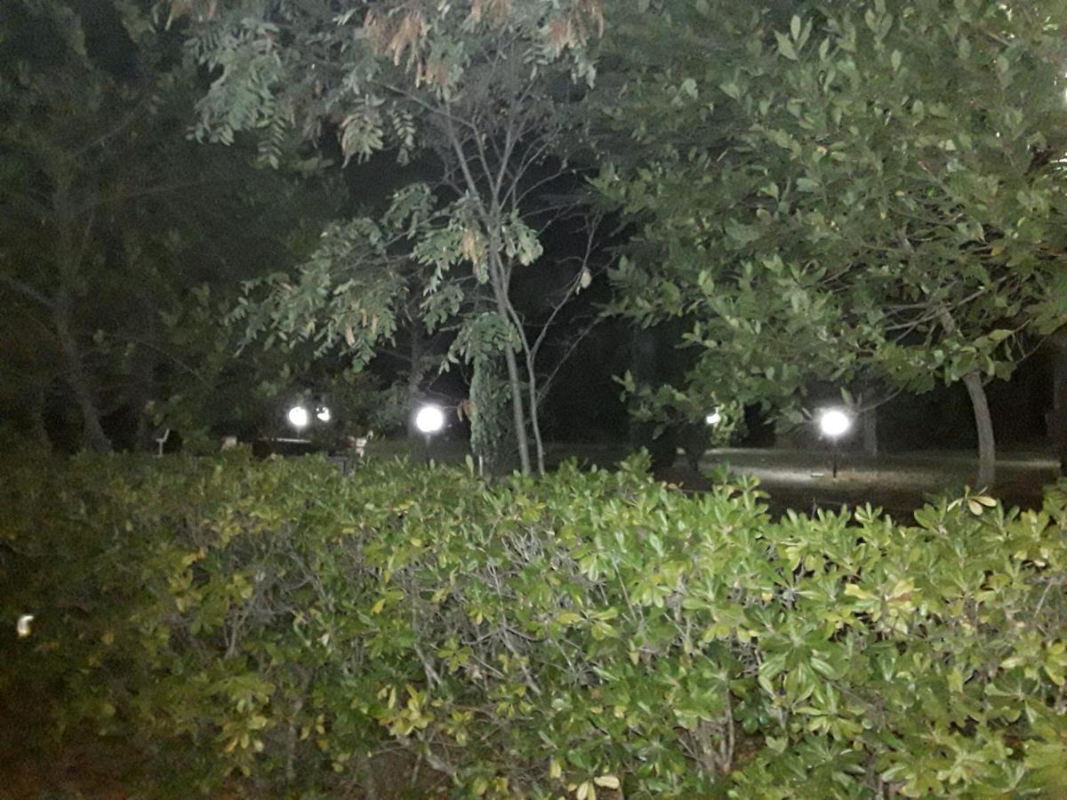 La Casa Nel Verde Larino エクステリア 写真