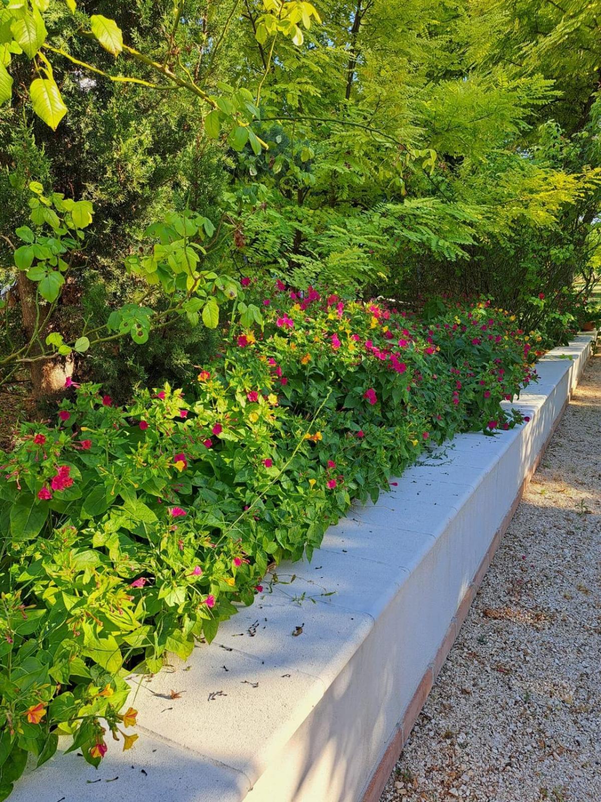 La Casa Nel Verde Larino エクステリア 写真